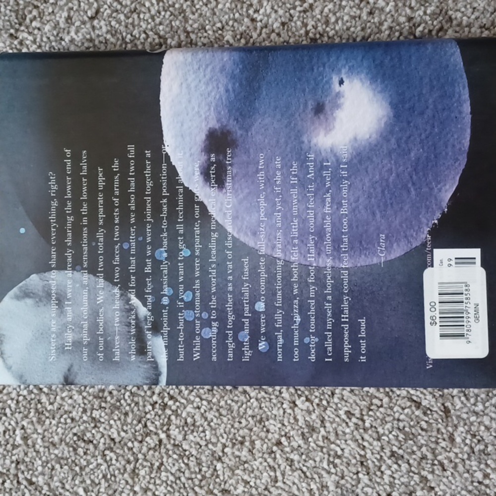 Gemini - Picture 3 of 3